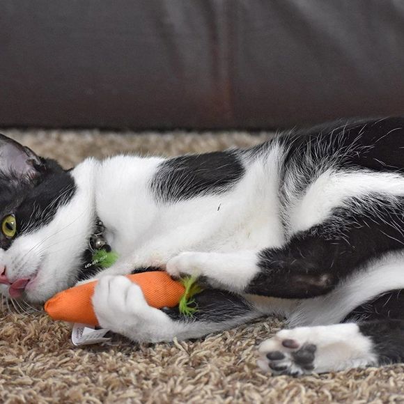 OurPets 100-Percent North American Catnip Filled Carrot Cat Toy 24 Karat - Picture 7 of 7